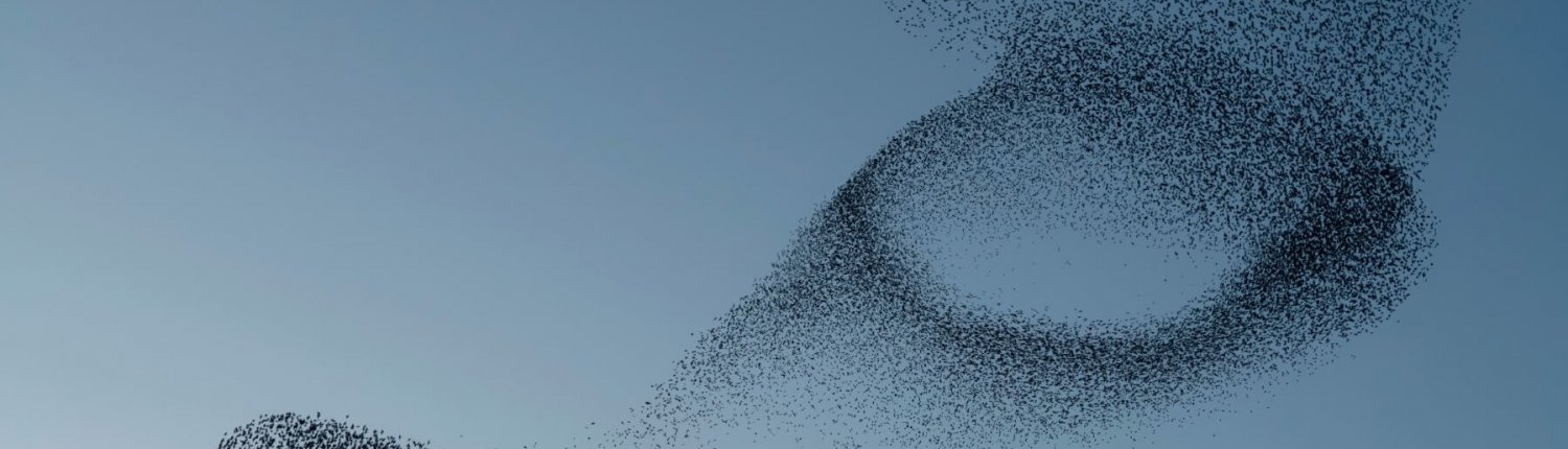 TEAMCOACHING EN<BR>-ONTWIKKELING teamontwikkeling - teamcoaching