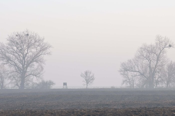 Wandeling Natuurlijk ritme januari: een nieuw begin