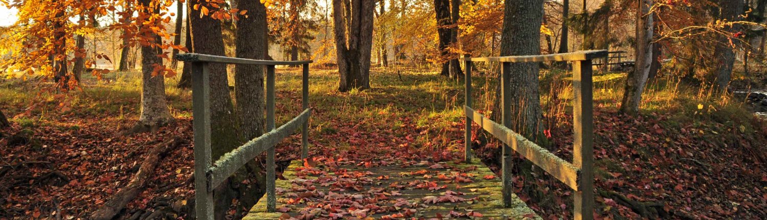 De volgende stap - wandeling - oktober