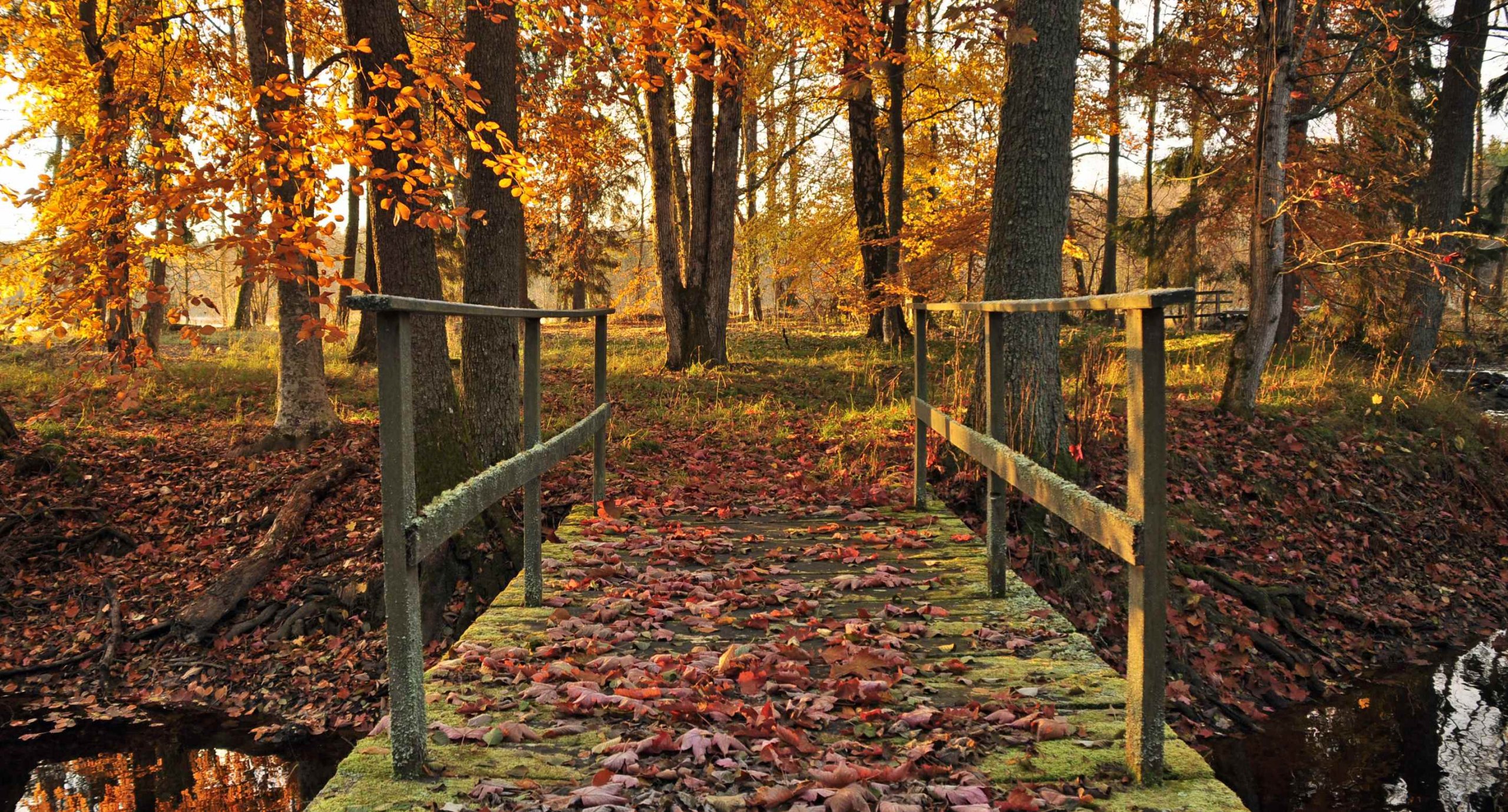 <strong><span style="font-size:16px;">BIKBERGEN</span></strong> De volgende stap - wandeling - oktober