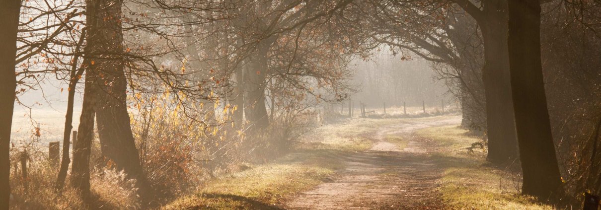 De volgende stap wandeling december