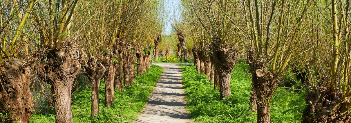 Wandeling Natuurlijk ritme maart: in bezieling creëren en vorm vinden