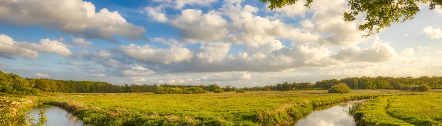 <strong><span style="font-size:16px;">MARKEN</span></strong> De volgende stap wandeling - juli