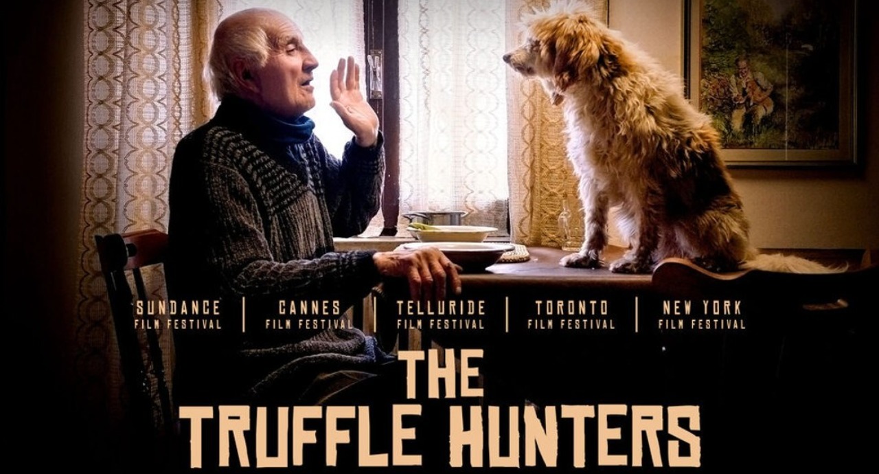 the truffle hunters